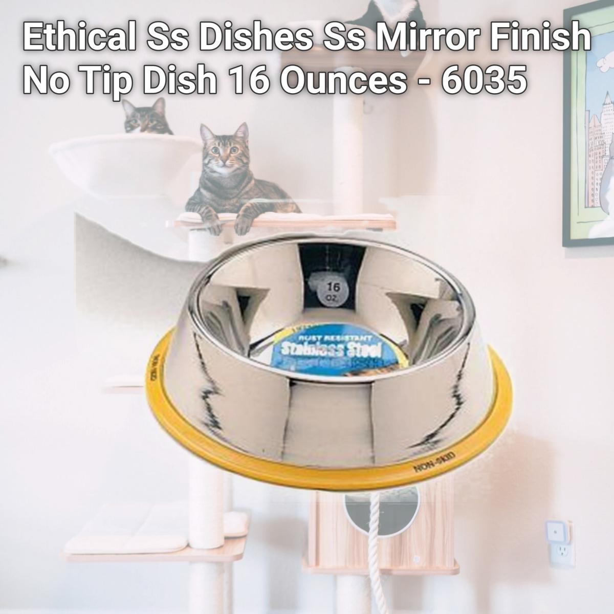 Picture of Ethical Ss Dishes Ss Mirror Finish No Tip Dish 16 Ounces - 6035
