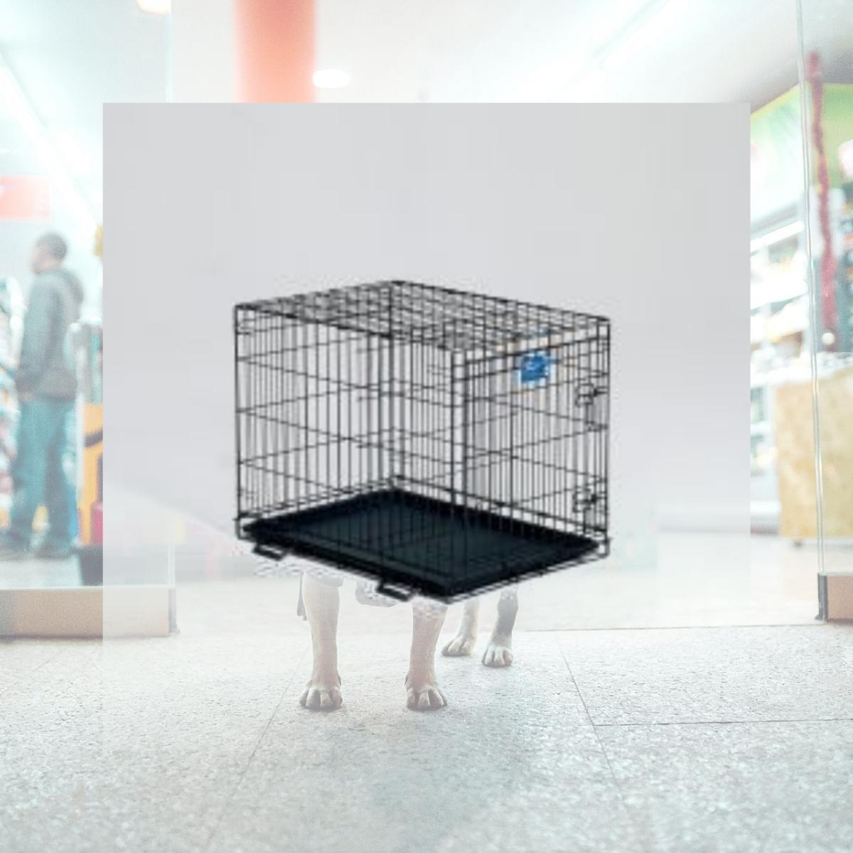 Picture of Midwest Container Lifestages Crate W Dvdr Panel 30x21x24 Inch - 1630