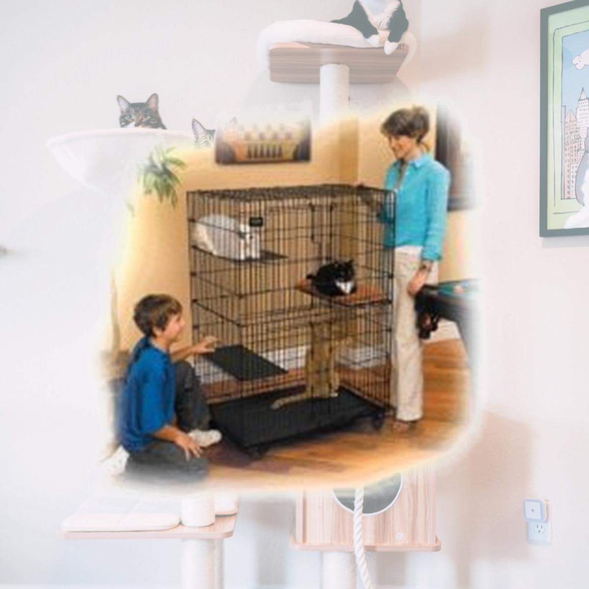 Picture of Midwest Container Cat Playpen Black - 130