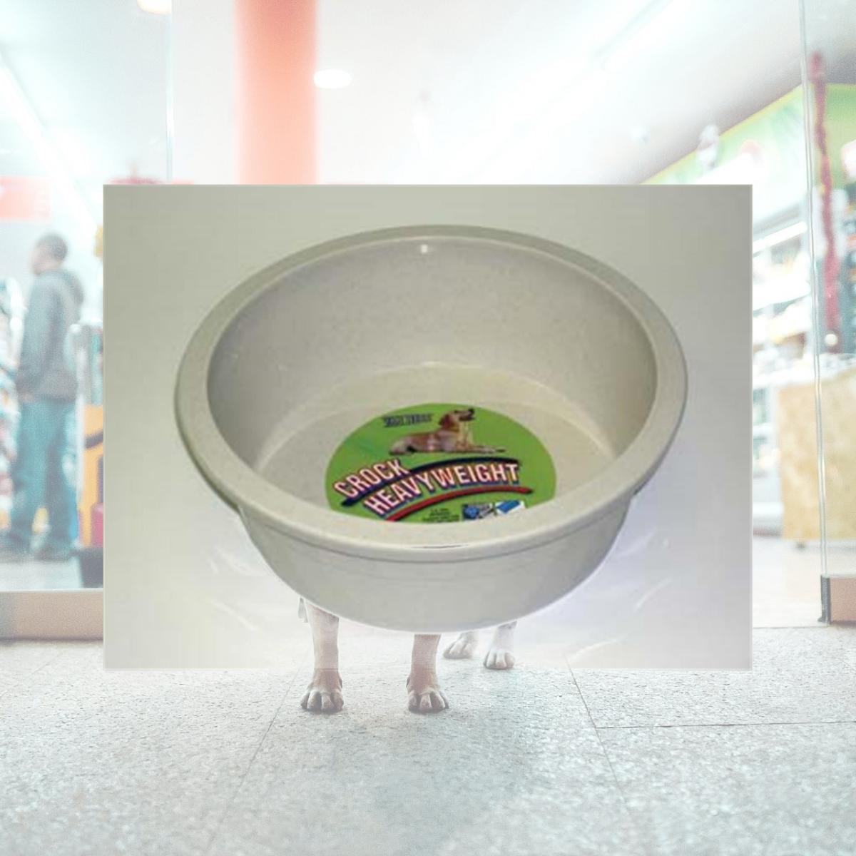 Picture of Van Ness Plastic Molding Crock Dish Giant - CS-5