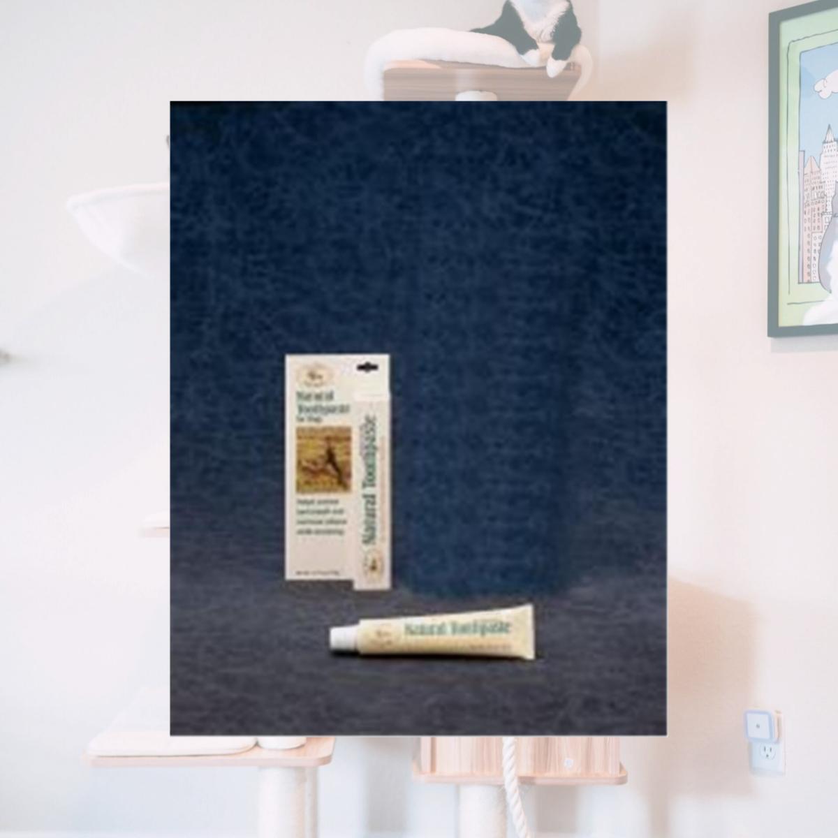 Picture of St Jon Laboratories Natural Toothpaste Peanut Butter 2.5 Ounces - 76011