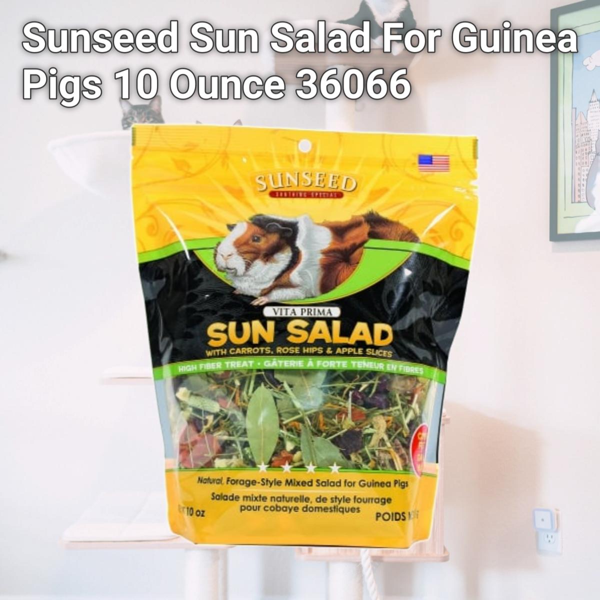 Picture of Sunseed Sun Salad For Guinea Pigs 10 Ounce 36066