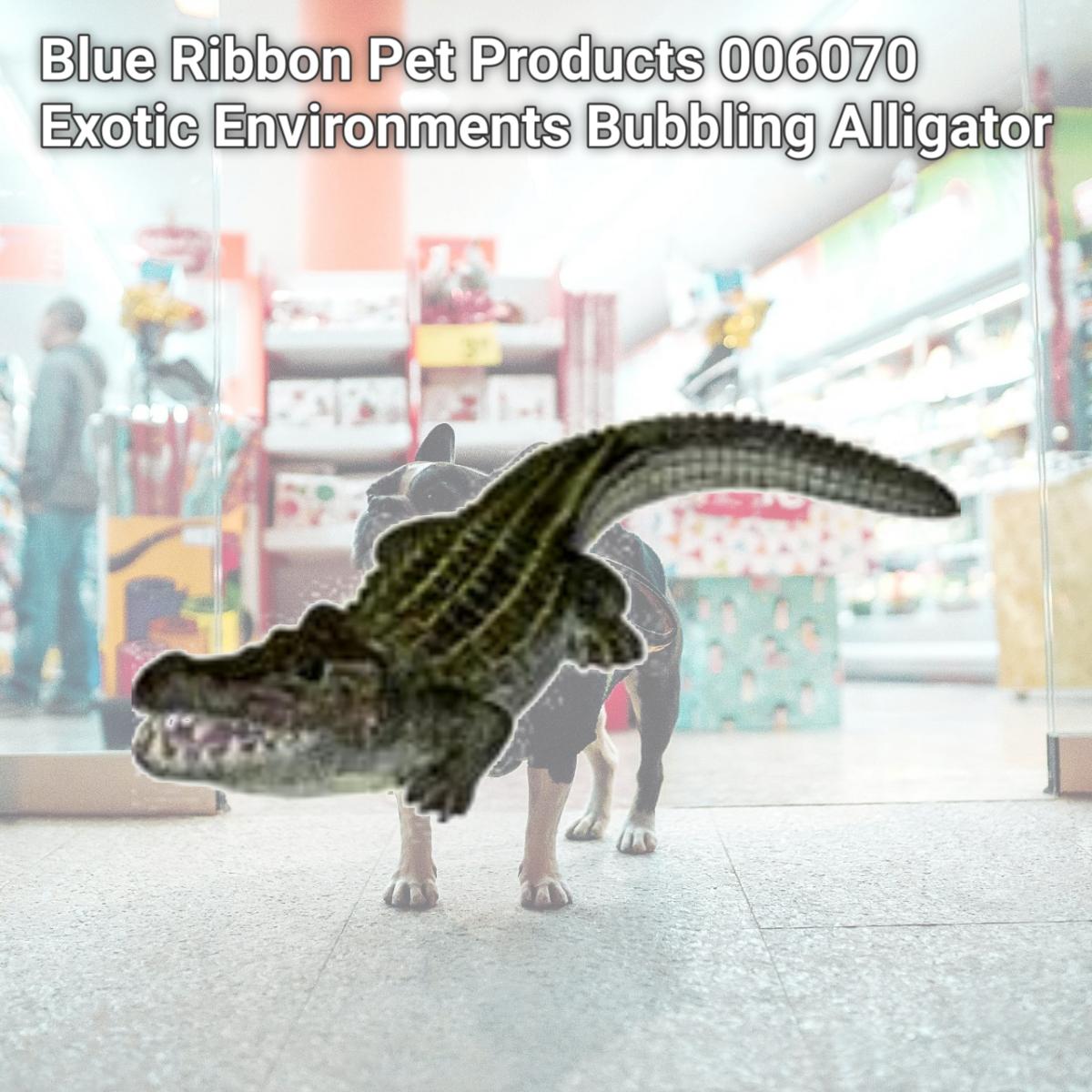 Picture of Blue Ribbon Pet Products 006070 Exotic Environments Bubbling Alligator