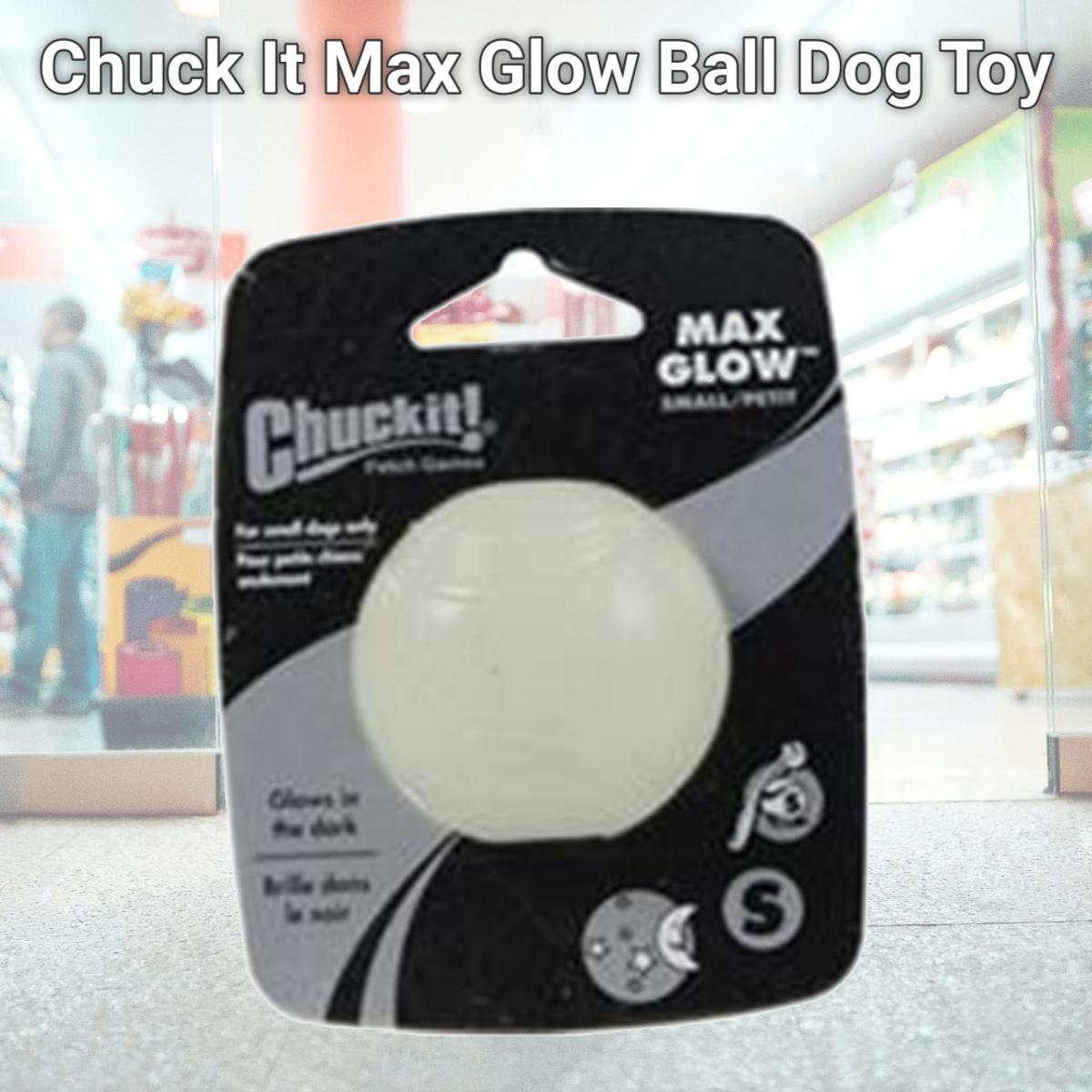 Picture of Canine Hardware 012193 Chuck It Max Glow Ball Dog Toy