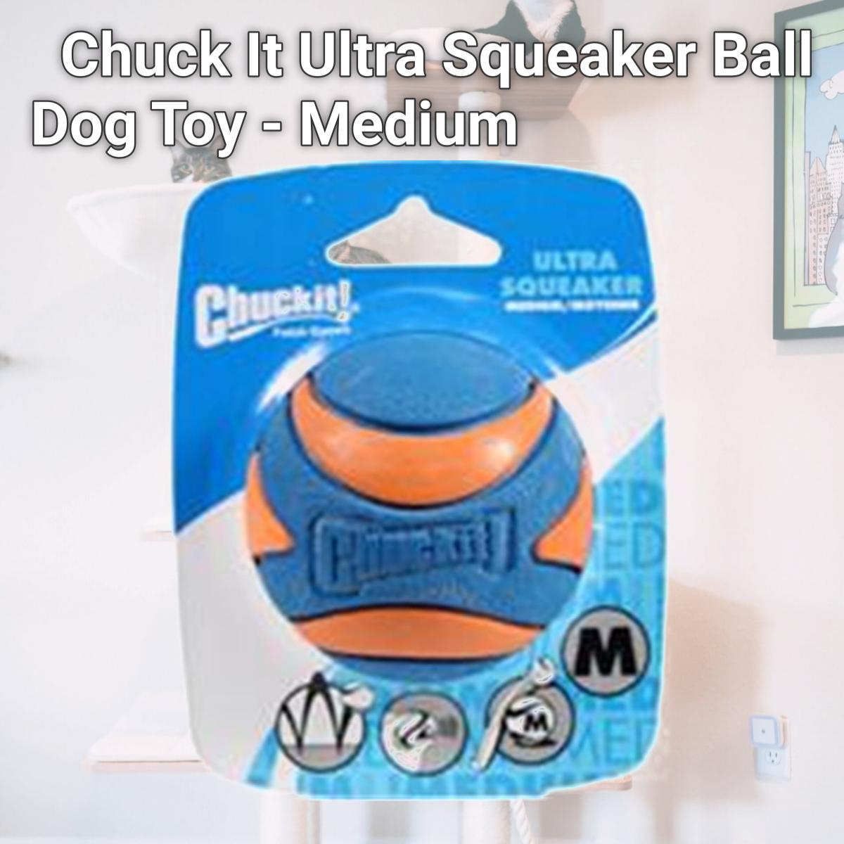 Picture of Canine Hardware 012227 Chuck It Ultra Squeaker Ball Dog Toy - Medium