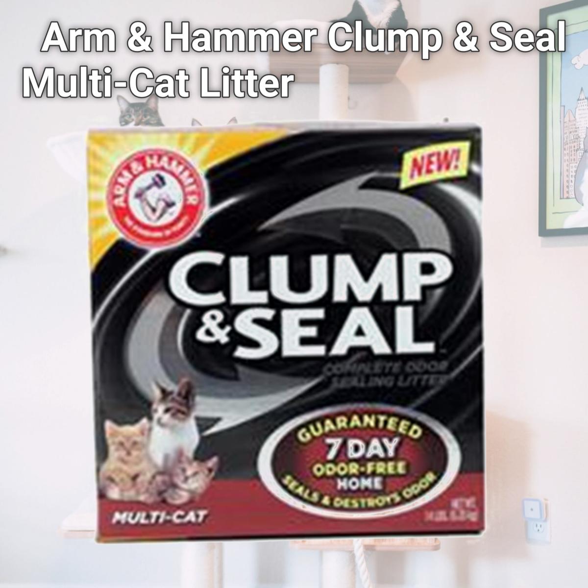 Picture of Church & Dwight 571764 Arm & Hammer Clump & Seal Multi-Cat Litter