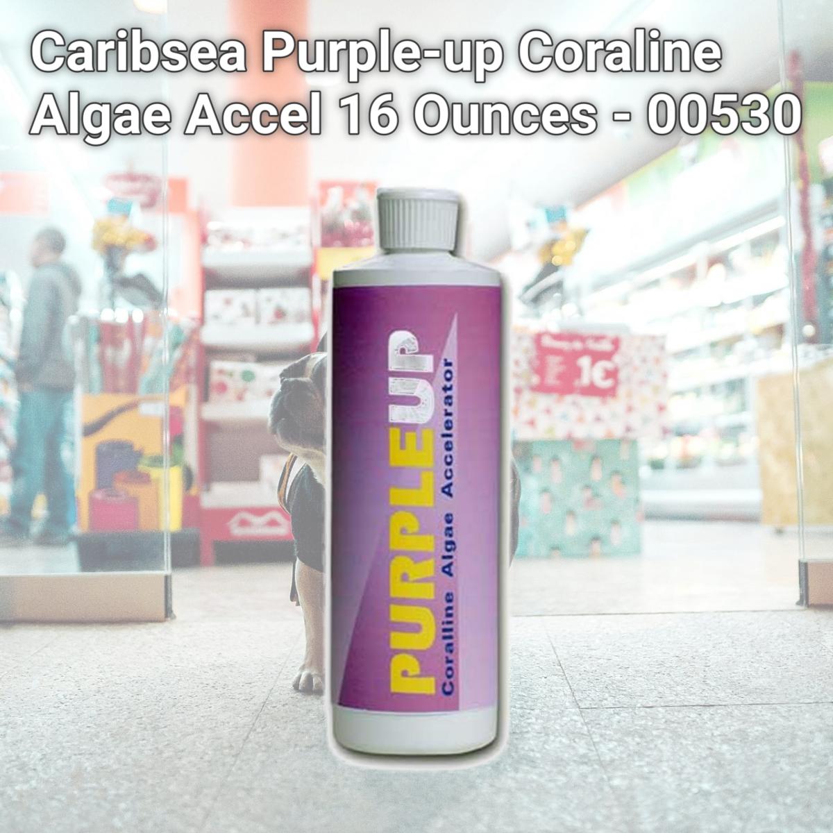 Picture of Caribsea Purple-up Coraline Algae Accel 16 Ounces - 00530