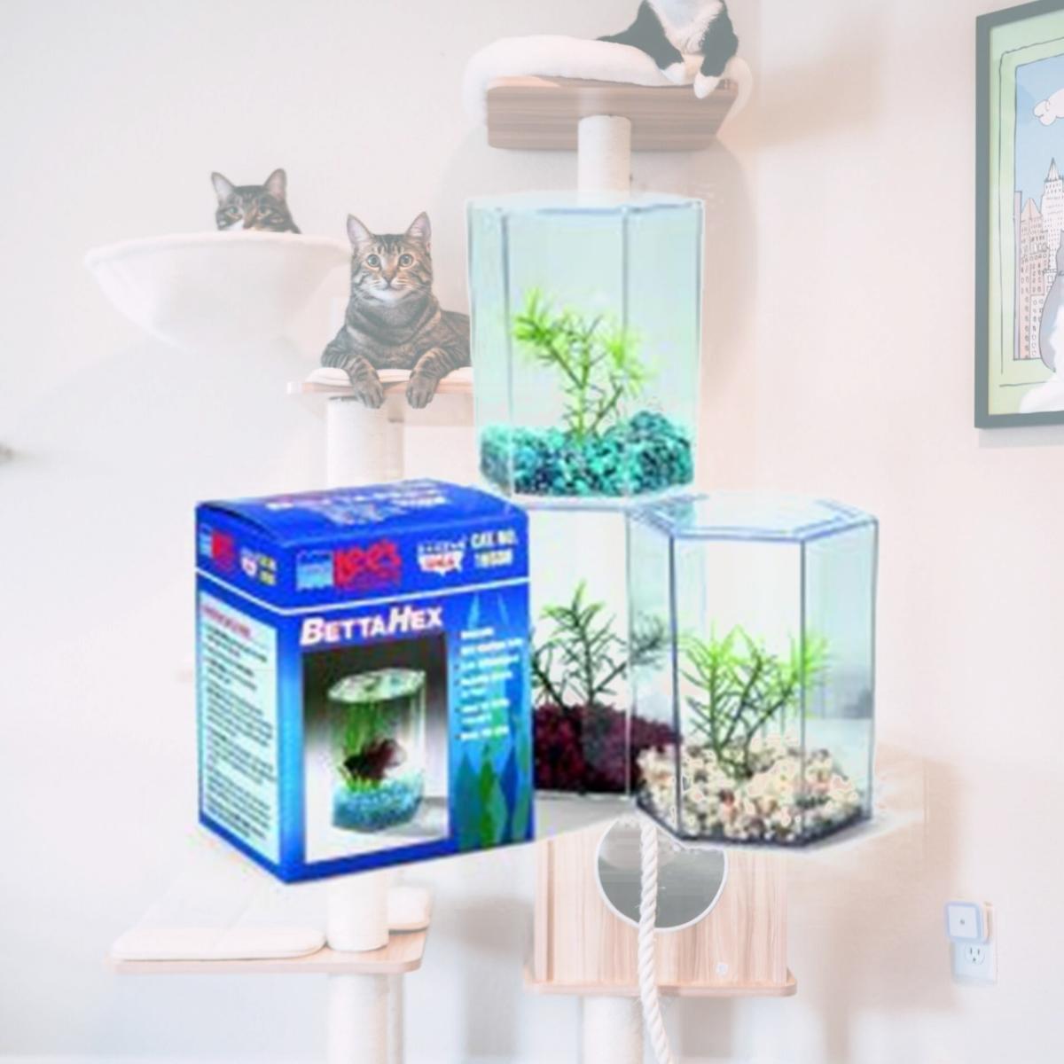 Picture of Lee S Aquarium & Pet Products Betta Keeper With Lid Large - 19538