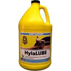 Picture of Richdel 974815 Hylalube Concentrate - Apple