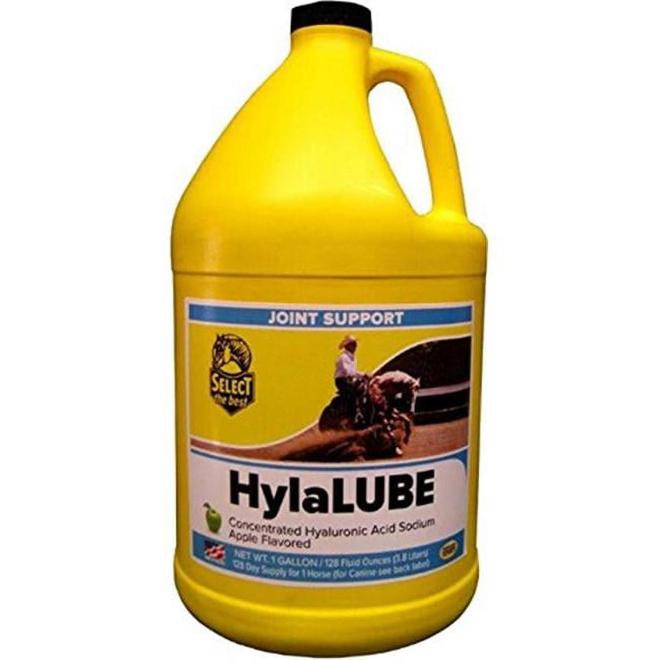 Picture of Richdel 974814 32 oz Hylalube Concentrate - Apple