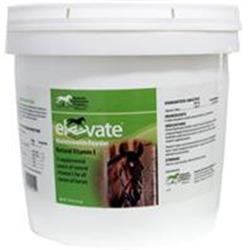 Picture of Kentucky Performance Products 044344 Elevate Maintenance Powder Supplement for Horses