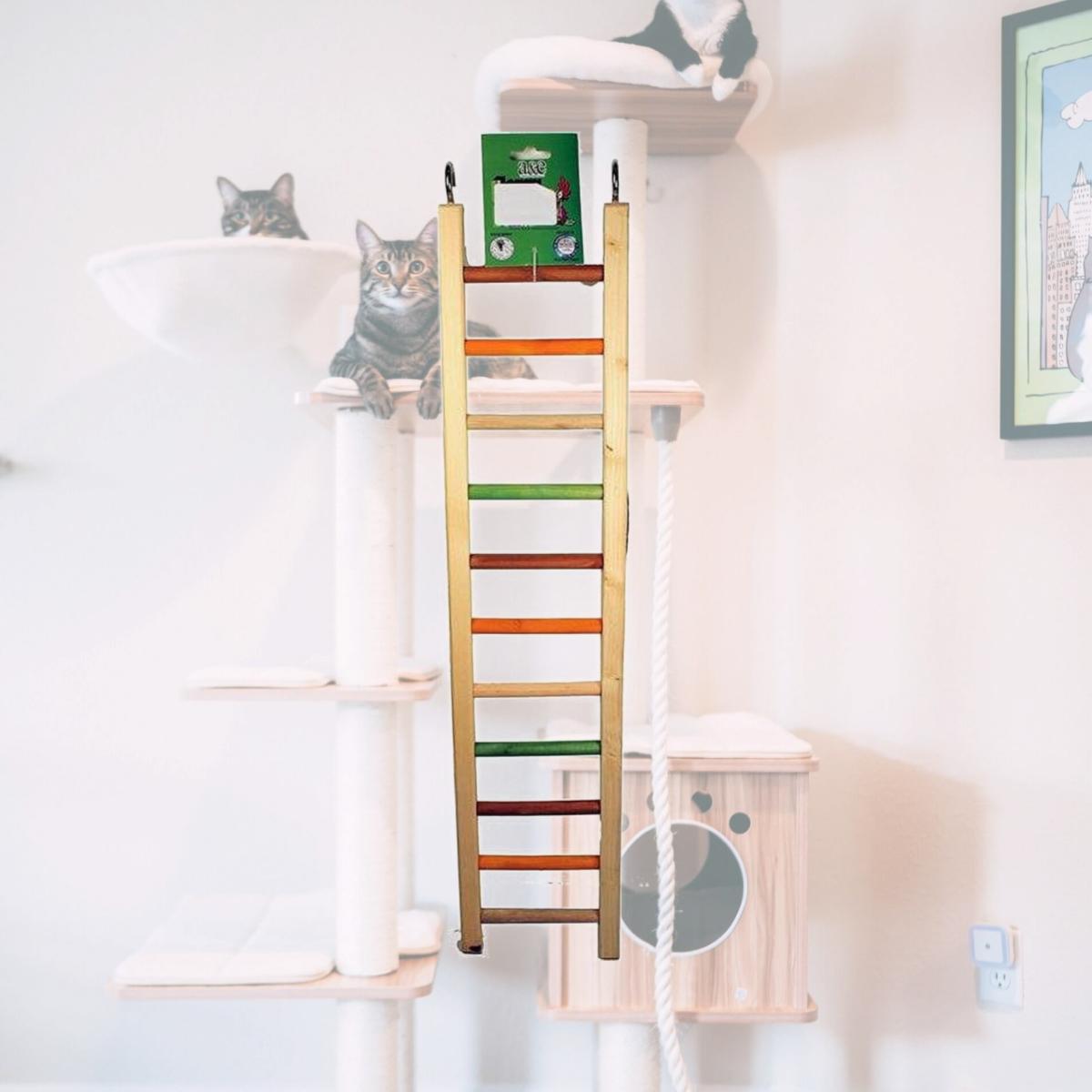 Picture of A&E Cage 001452 25 in. Happy Beaks Wooden Hanging Ladder, Multicolor
