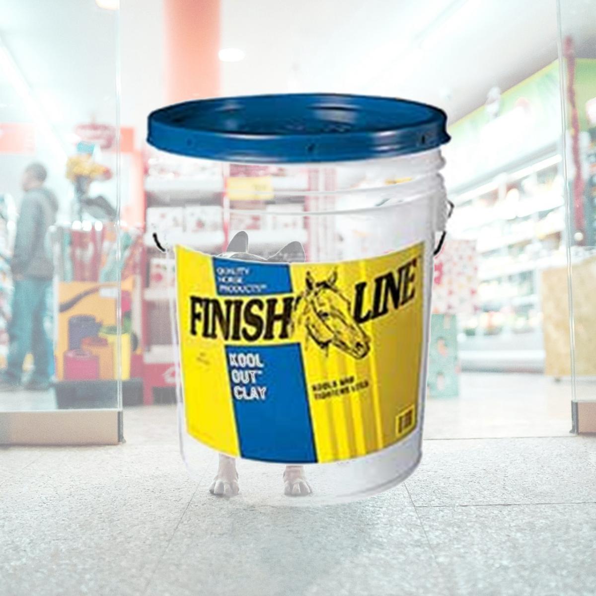 Picture of Finish Line 029065 Finish Line Horse Products Kool Out Clay Poultice