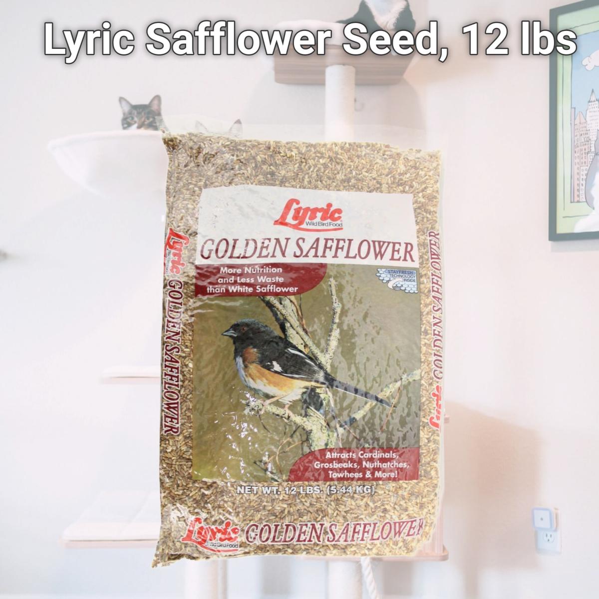 Picture of Greenview Lyric 396795 Lyric Safflower Seed, 12 lbs