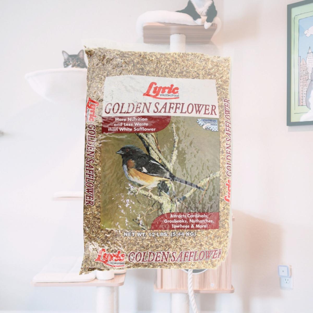Picture of Greenview Lyric 396795 Lyric Safflower Seed, 12 lbs