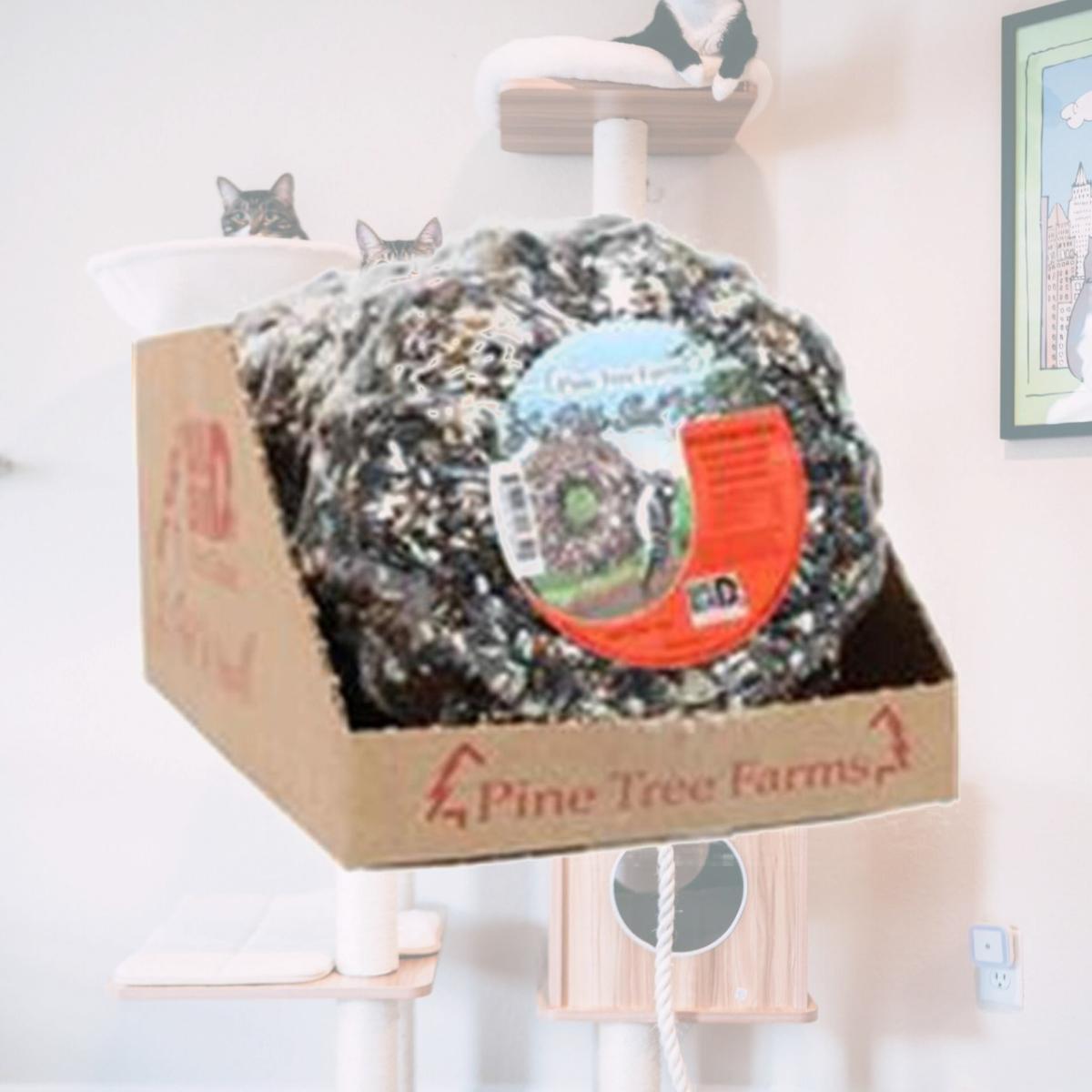 Picture of Pine Tree Farms 399636 1.25 lbs LE Petite Seed Wreath Counter Pack, Black