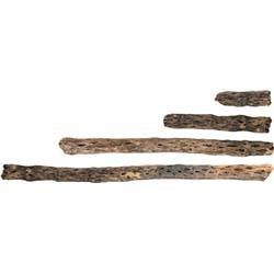 088047 24 in. Cholla Wood Branches - Natural