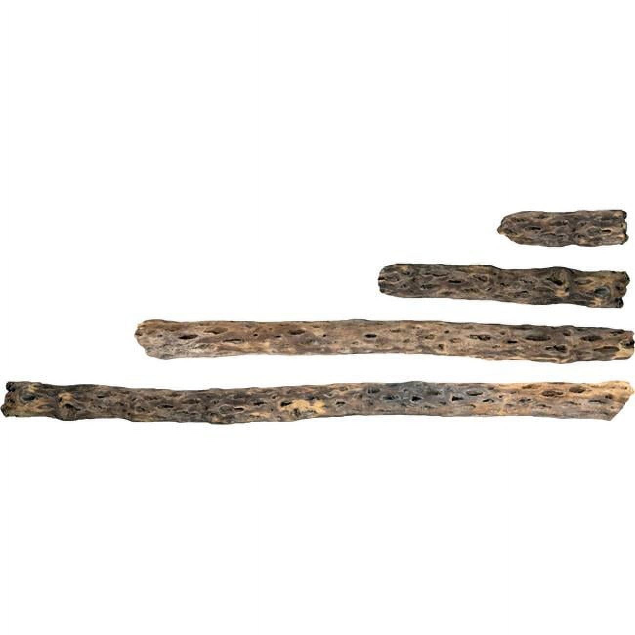 088048 36 in. Cholla Wood Branches - Natural