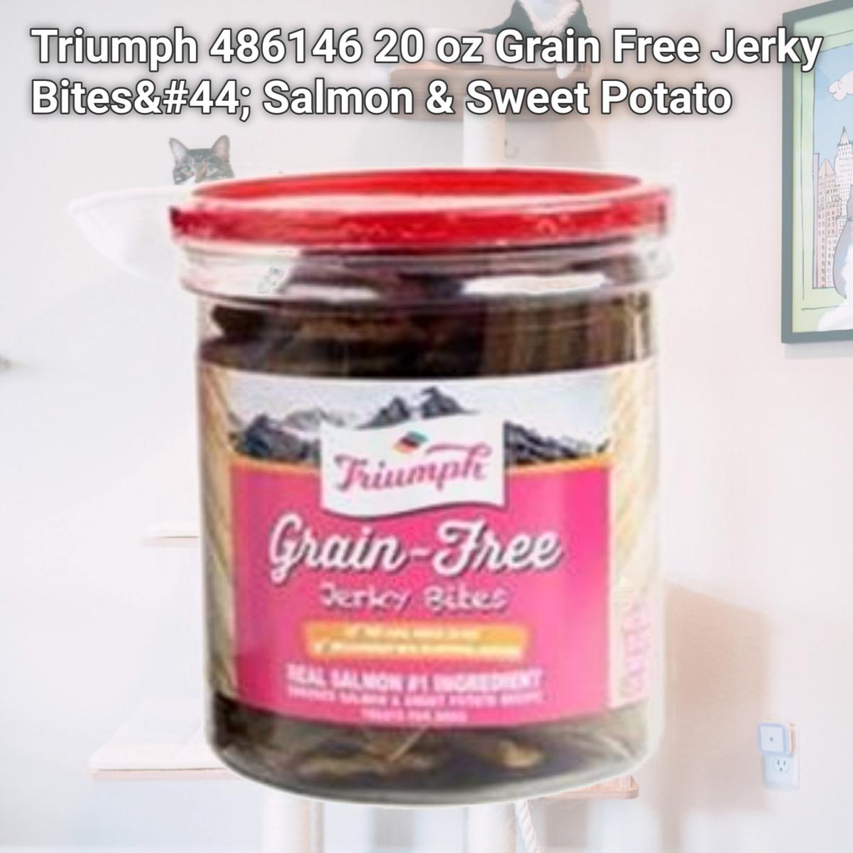 Picture of Triumph 486146 20 oz Grain Free Jerky Bites&#44; Salmon & Sweet Potato