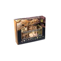 4.5 qt Terrarium Starter Kit Arid Environment, Natural