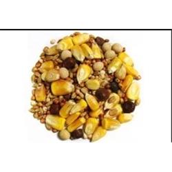 118673 Thrifty Small Corn Pigeon Food