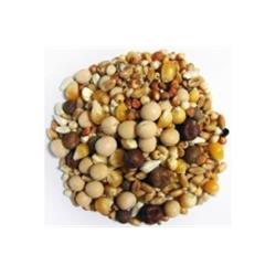 118674 Developer Popcorn Pigeon Food