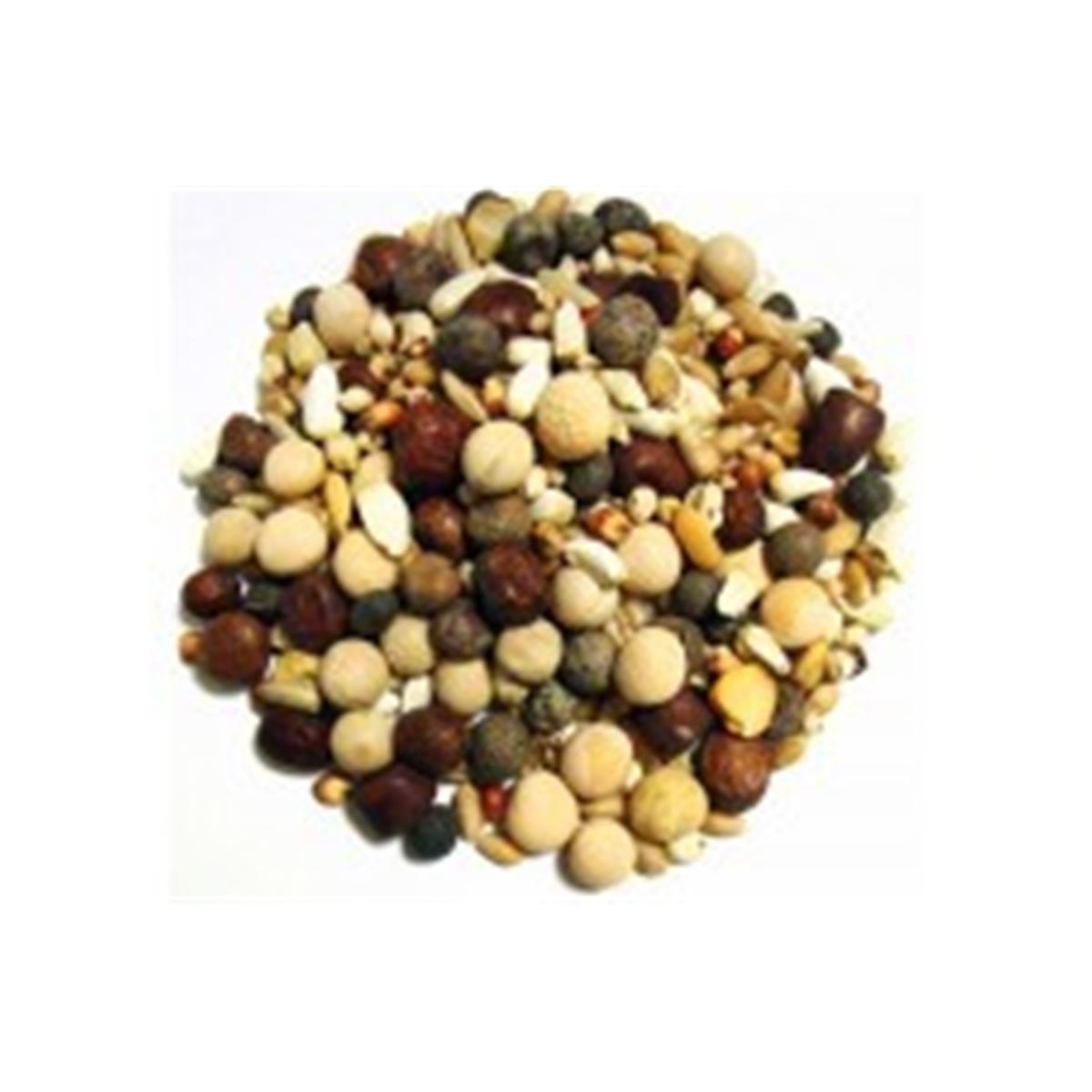 118667 Rocks No Corn Pigeon Food
