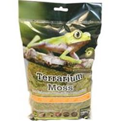 088103 Pillow Moss, Natural Dry - Small