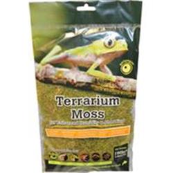 088104 Sheet Moss, Natural Dry - Small