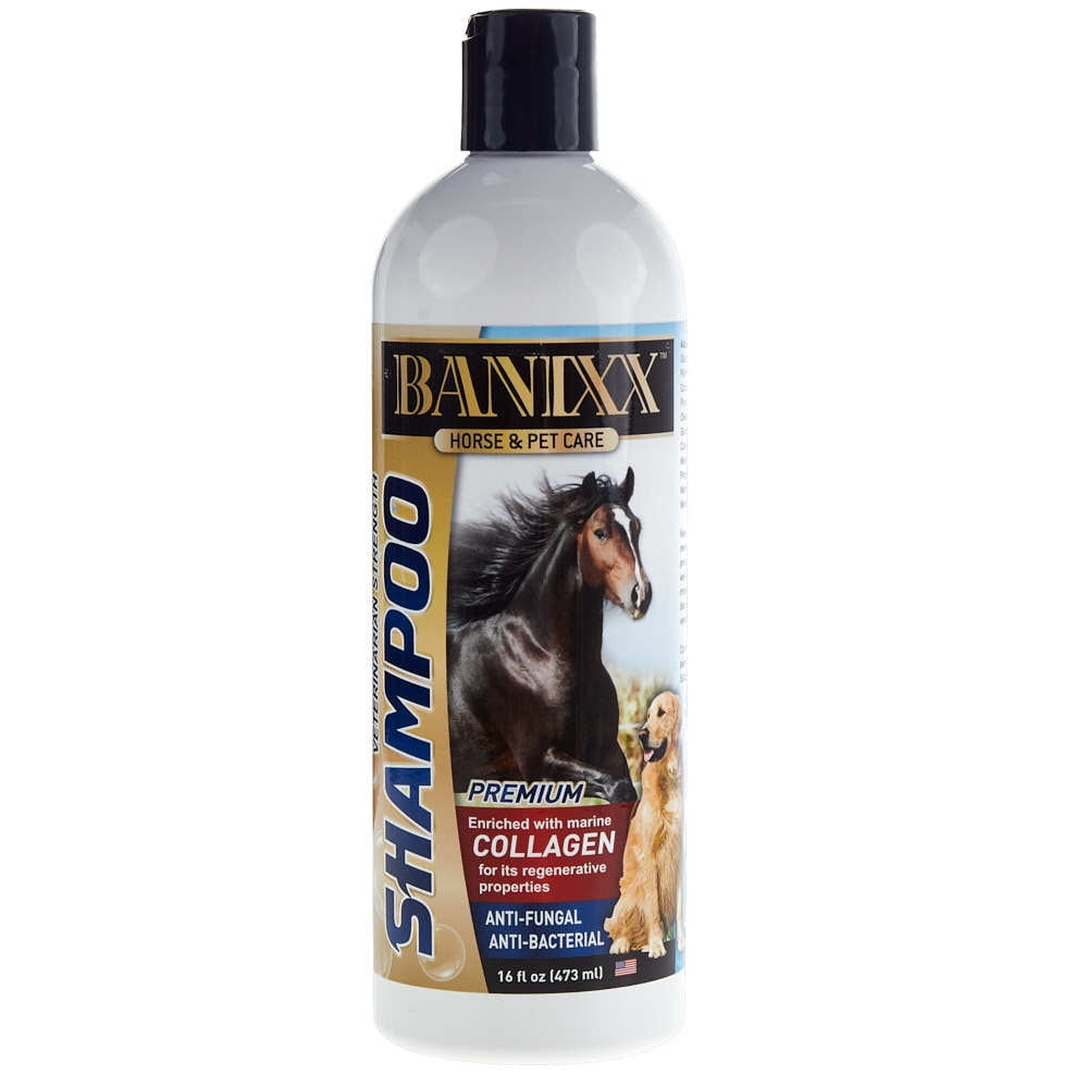 Picture of Sherborne 897227 002104 16 oz Banixx Shampoo Med with Collagen