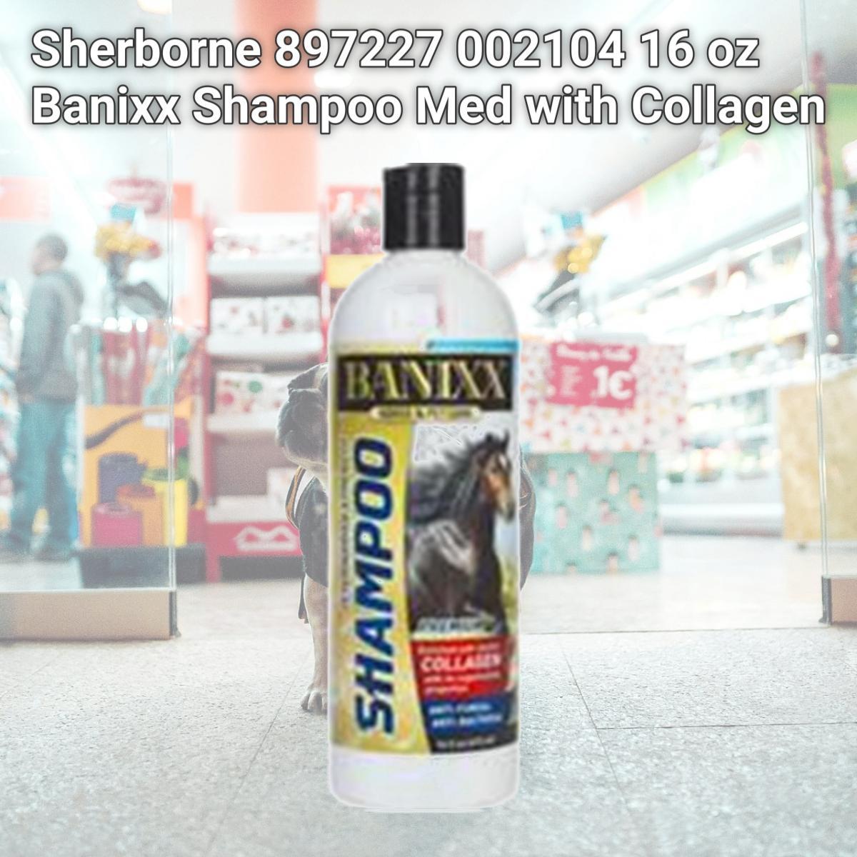 Picture of Sherborne 897227 002104 16 oz Banixx Shampoo Med with Collagen