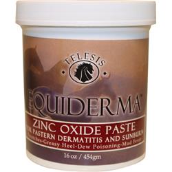 Picture of Equiderma 011-100076 Zinc Paste - 16 oz