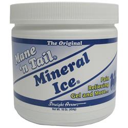 Picture of Straight Arrow Products 013-300106 1 lbs Mane N Tail Mineral Ice for Horses - Pack of 6