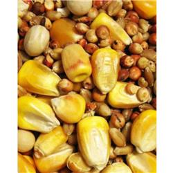 Picture of F.M. Browns 41700 50 lbs Browns Park Small Corn Pigeon Food