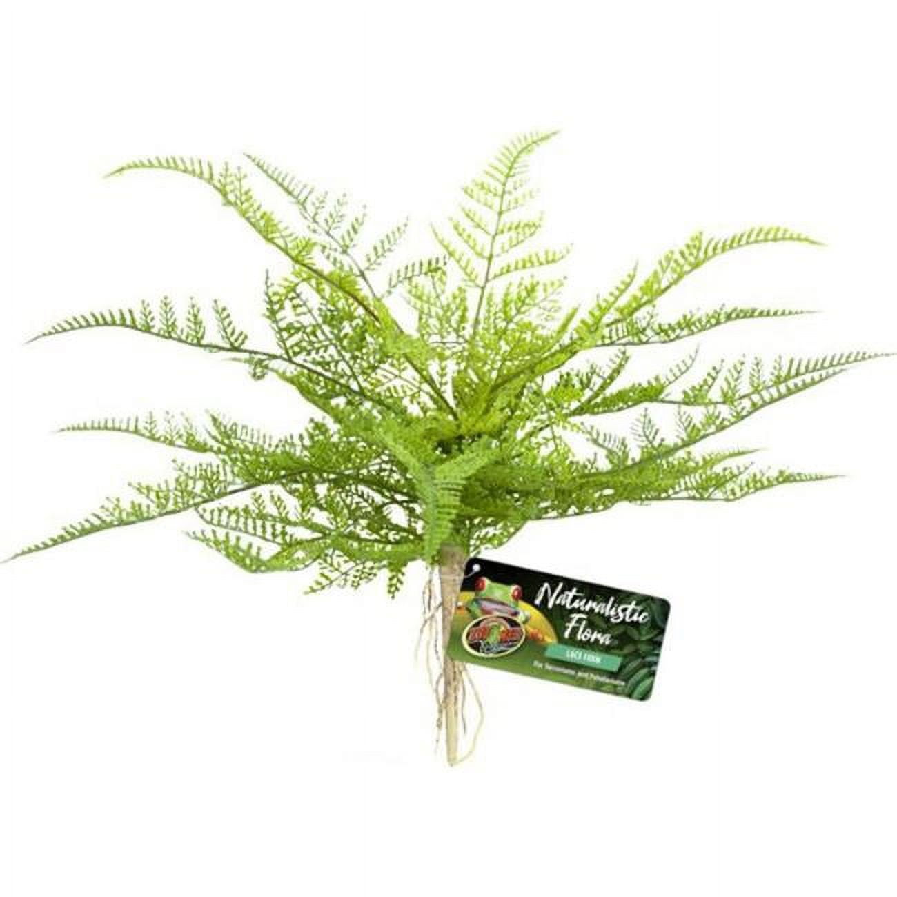 Picture of Zoo Med Laboratories BU-62 Naturalistic Flora Lace Fern