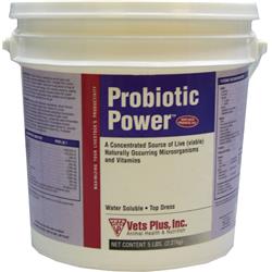 Picture of Vets Plus Probios 022-40000 5 lbs Probiotic Powder