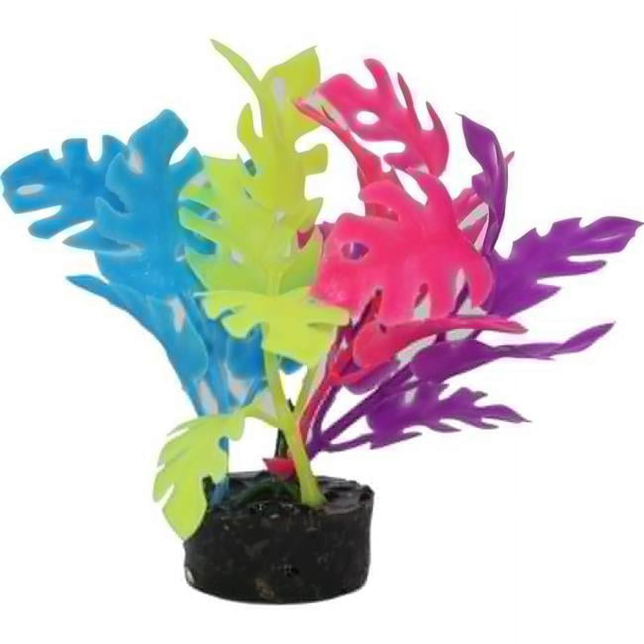 Picture of Blue Ribbon Pet Products CB-2112 1.25 x 1.25 x 3.25 in. Color Burst Florals Philo Leaf Multi
