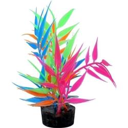 Picture of Blue Ribbon Pet Products CB-2114 Color Burst Florals Needle Leaf Multi