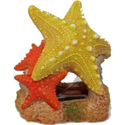 Picture of Blue Ribbon Pet Products EE-1908 3.5 x 3 x 3.5 in. Exotic Environments Sea Star Duo