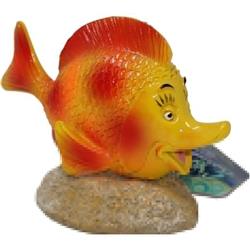 Picture of Blue Ribbon Pet Products EE-1919 5 x 2.25 x 3.25 in. Exotic Environments Long Nose Happy Fish