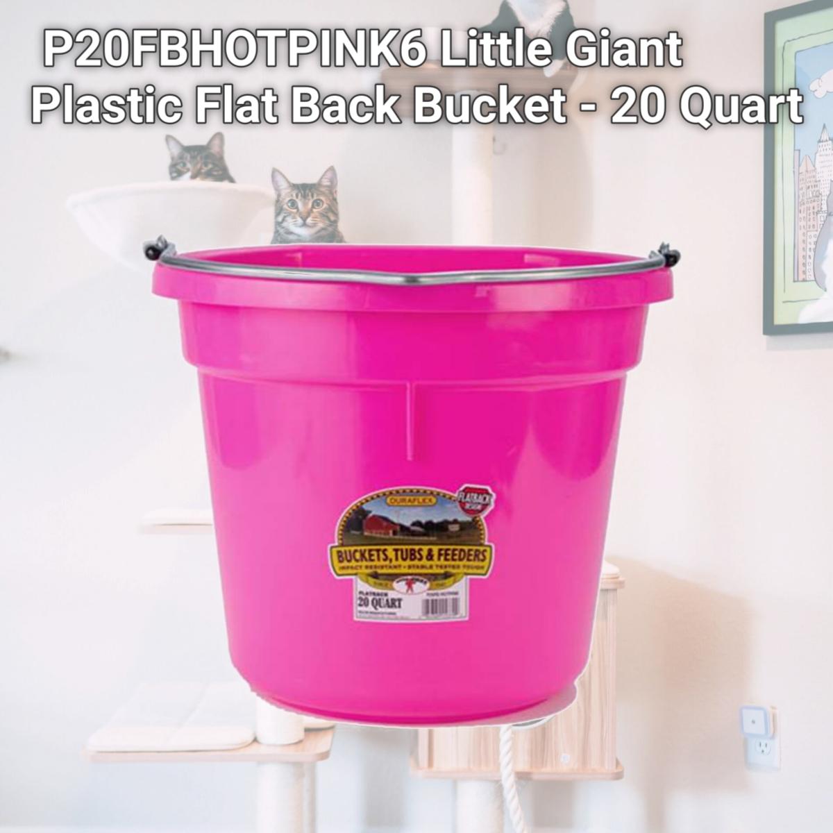 Picture of Miller P20FBHOTPINK6 Little Giant Plastic Flat Back Bucket - 20 Quart
