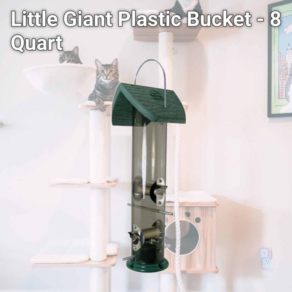 Picture of Miller P8LIMEGREEN6 Little Giant Plastic Bucket - 8 Quart