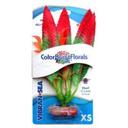 Picture of Blue Ribbon Pet Products CB-165-RD Colorburst Florals Crispus Silk Style Plant&#44; Red - Extra Small