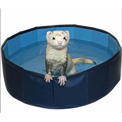 Picture of Marshall Pet Products FT-471 Marshall Ferret Swimming Pool