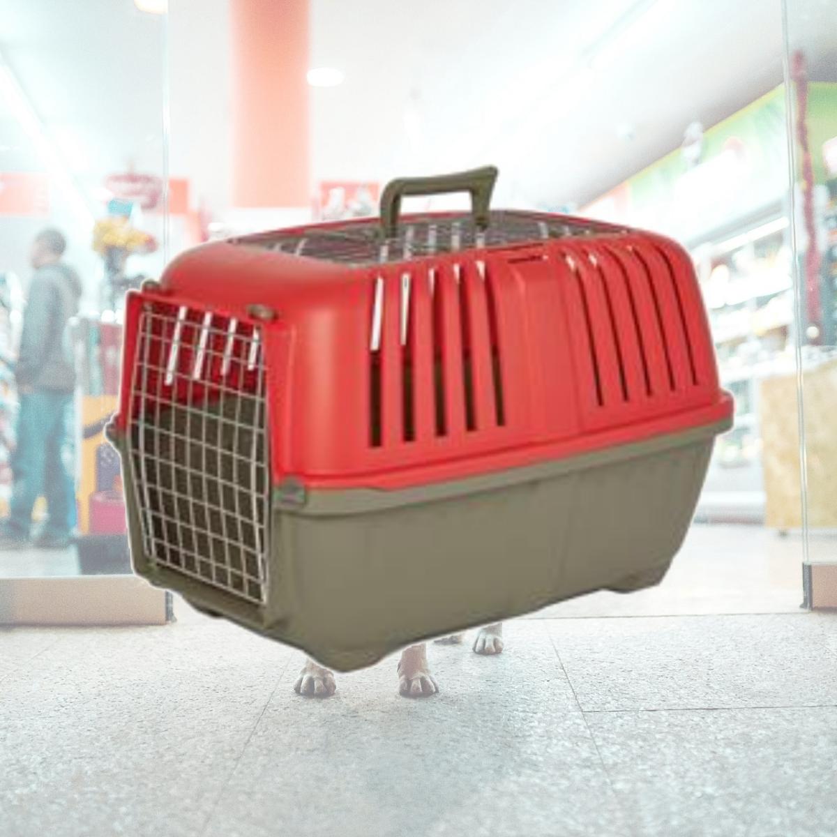 Picture of Midwest Homes for Pets 1424SPR-TD 24 in. Spree Double Door Travel Pet Carrier, Red