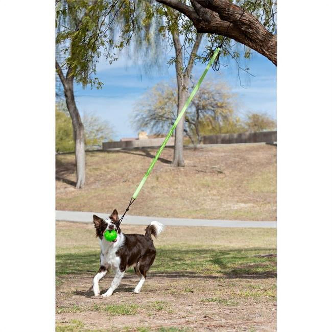Picture of Jolly Pets JP071 Jolly Pets Tree Tugger Bungee, Green - Large