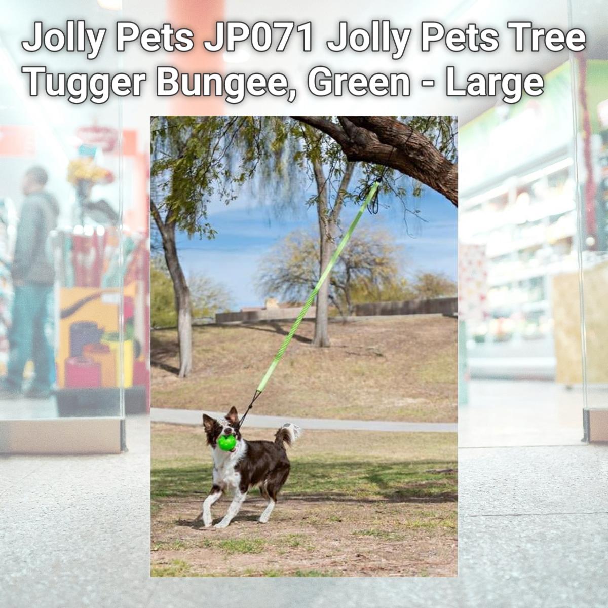 Picture of Jolly Pets JP071 Jolly Pets Tree Tugger Bungee, Green - Large