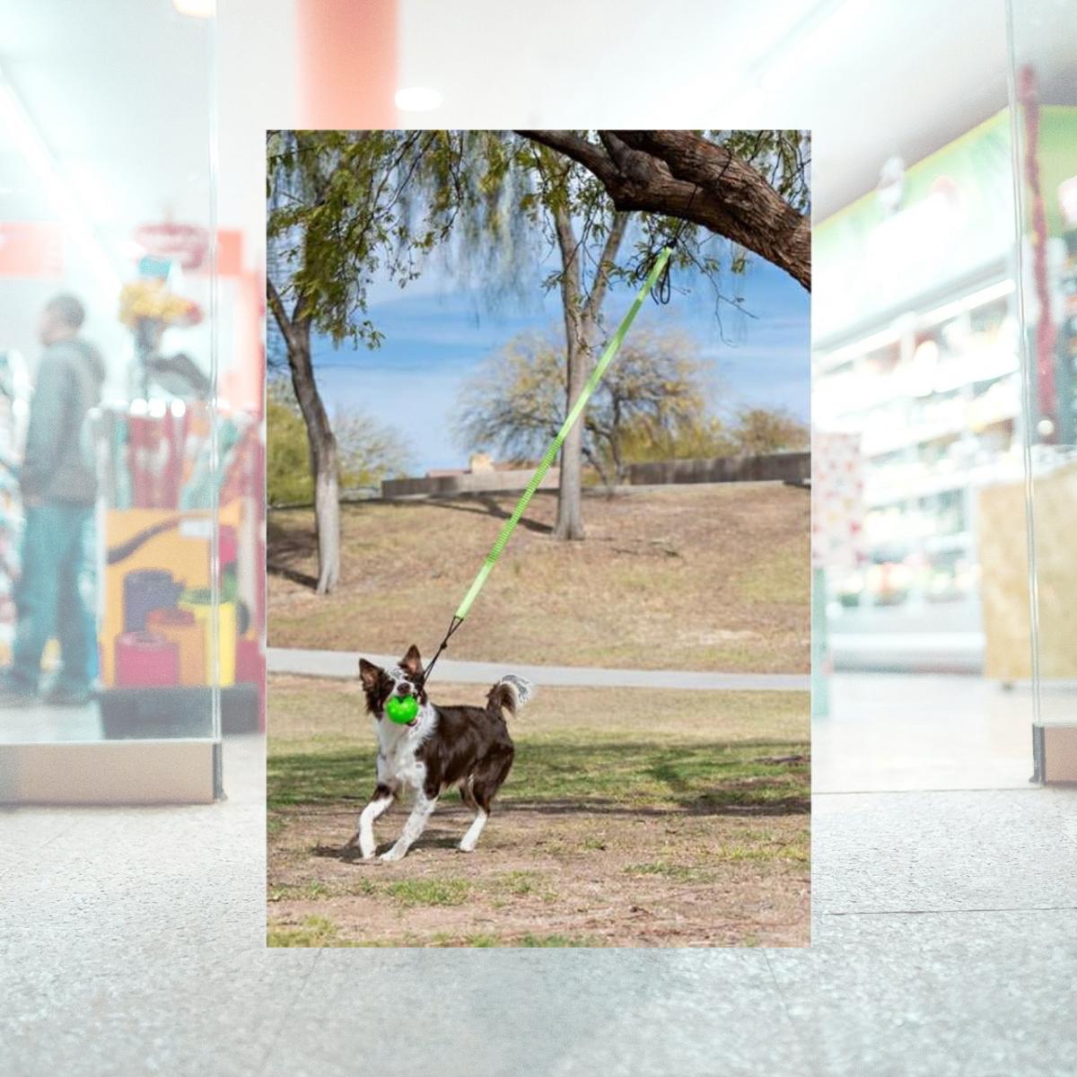 Picture of Jolly Pets JP071 Jolly Pets Tree Tugger Bungee, Green - Large