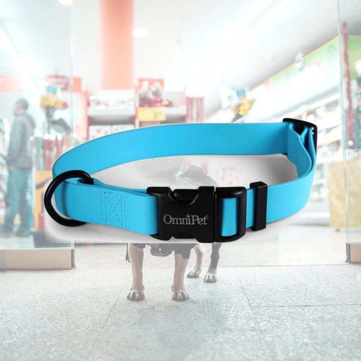 Picture of Leather Brothers 19143-LBL 0.75 x 14 x 20 in. Carnival Biothane Dog Collar, Light Blue