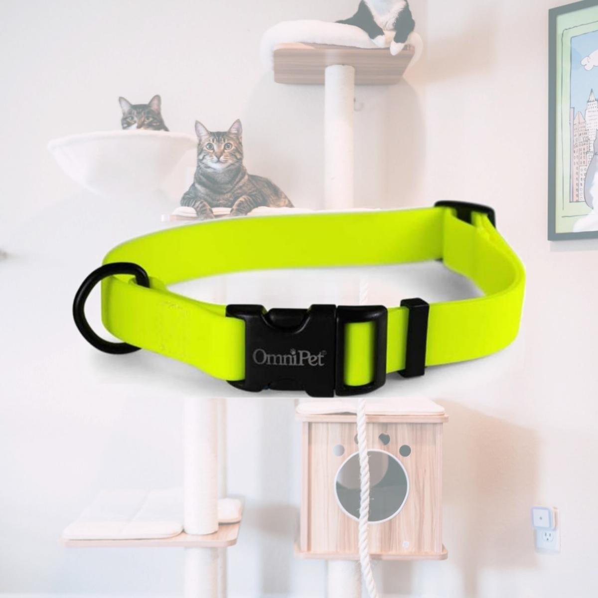Picture of Leather Brothers 19143-NYL 0.75 x 14 x 20 in. Carnival Biothane Dog Collar, Neon Yellow